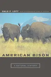 American Bison: A... image
