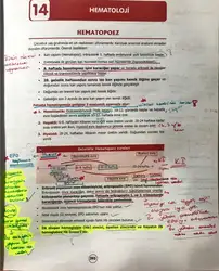 Pediatrik Hematoloji Notu image