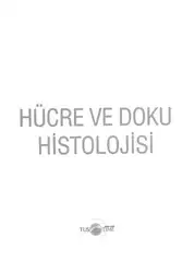 Fizyoloji Histoloji Soru... image