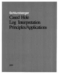 Cased hole log... image