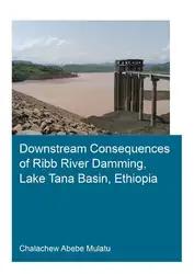 Downstream Consequences of... image
