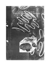 Teste de Biologie... image