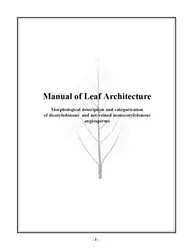 Manual of Leaf... image