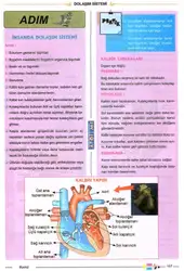 Apotemi Sistemler ۲۰۱۸-۱۹... image