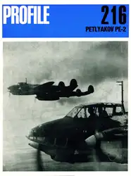 Petlyakov Pe-۲ variants image