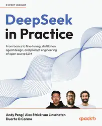 DeepSeek in Practice image