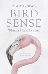Bird Sense: What... image