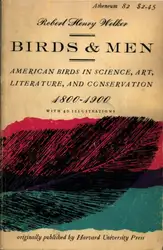 Birds and Men... image