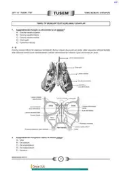 Tusem ۲۰۱۱ Denemeleri image