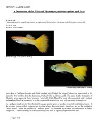 A Discussion of... image