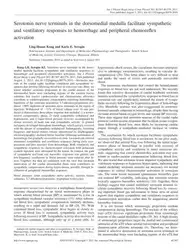 Serotonin nerve terminals... image