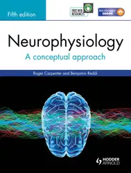 Neurophysiology : a... image
