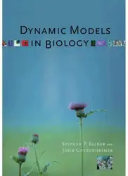 Dynamic Models in... image