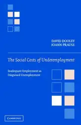 The Social Costs... image