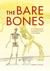 The Bare Bones:... image