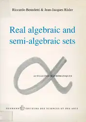 Real algebraic and...