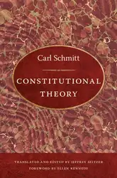 Constitutional Theory image