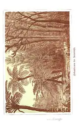 Die Geschichte der... image