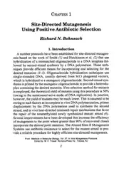 In Vitro Mutagenesis... image