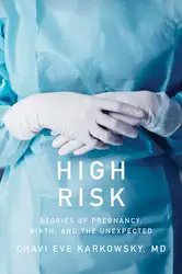 High Risk: Stories... image