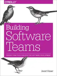 دانلود کتاب Building Software Teams: Ten Best Practices for Effective Software Development