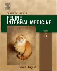 Consultations in Feline... image