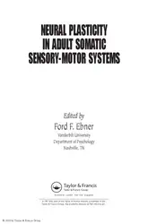 Neural plasticity in... image