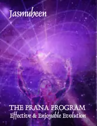 THE PRANA PROGRAM... image