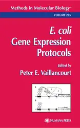 E. coli: Gene... image