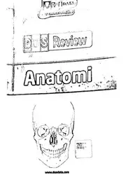 Anatomi image