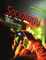 Sociology: A Brief... image