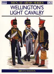 Wellingtons Light Cavalry image