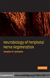 Neurobiology of Peripheral... image
