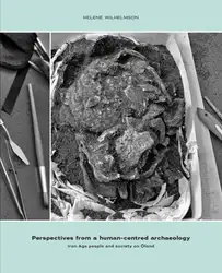 Perspectives from a... image