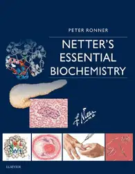 Netter biochemistry image