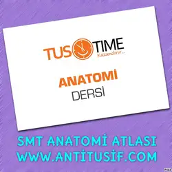 SMT Nöroanatomi Atlası image