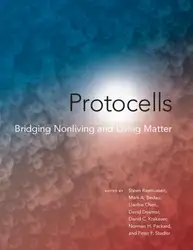 Protocells - Bridging... image