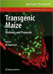Transgenic Maize: Methods... image