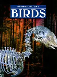 Birds (Prehistoric Life) image