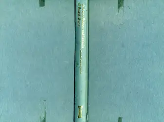 Air Force badges... image