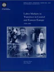 Labor Markets in... image