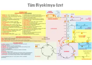 Biyokimya Özet Tablosu image