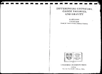 Differential Geometry, Gauge... image