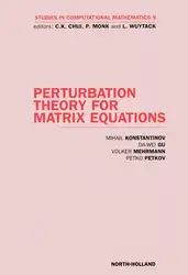 Perturbation Theory for... image