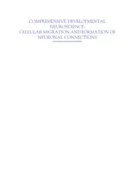 Cellular Migration and... image