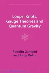 Loops, Knots, Gauge... image