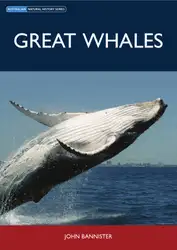 Great Whales image
