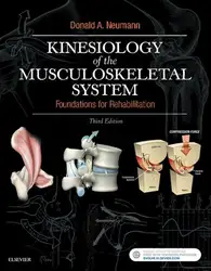 Kinesiology of the... image