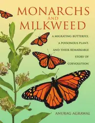 Monarchs and Milkweed:... image