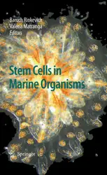 Stem Cells in... image